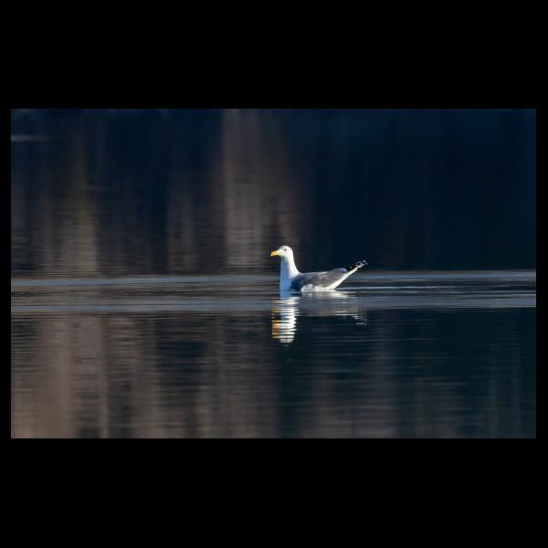 PHOTO84, CLUB, 84 , LUBERON